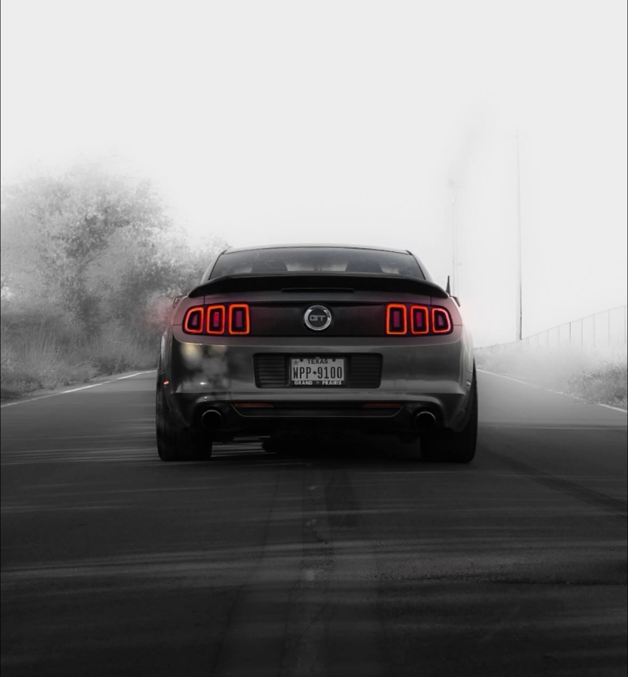Mustang — rear burnout shot
